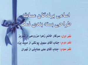 11 - Copy (2)